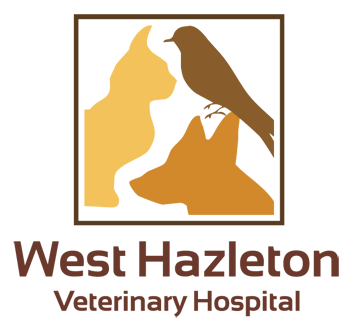 West Hazleton Veterinary Hospital